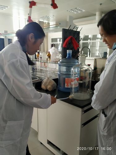 监测站实验室人员培训纪实(一)