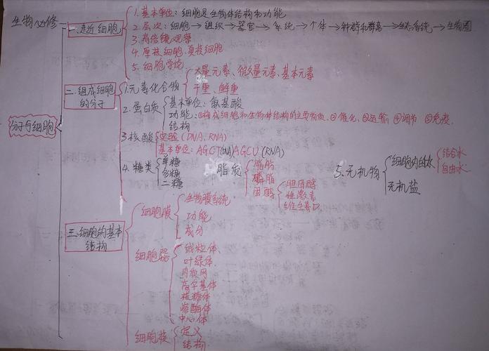生物必修一:分子与细胞