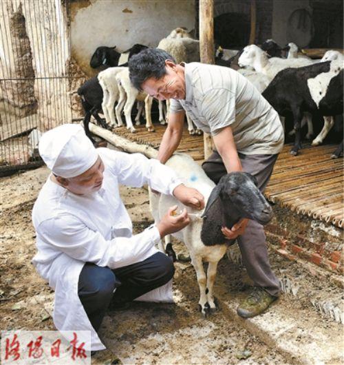 王育新(左)给农户的羊注射疫苗