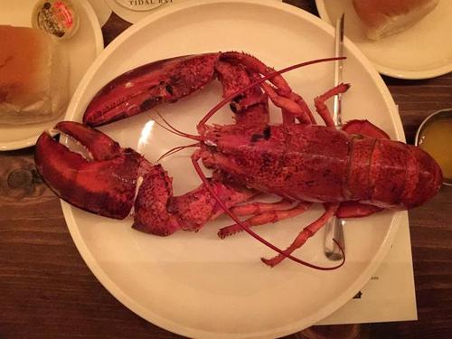 新斯科舍肉质饱满的水煮龙虾 这样吃龙虾,还可以将龙虾空壳完美复原