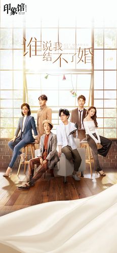谁说我结不了婚海报