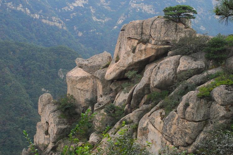 十一山东旅游景点