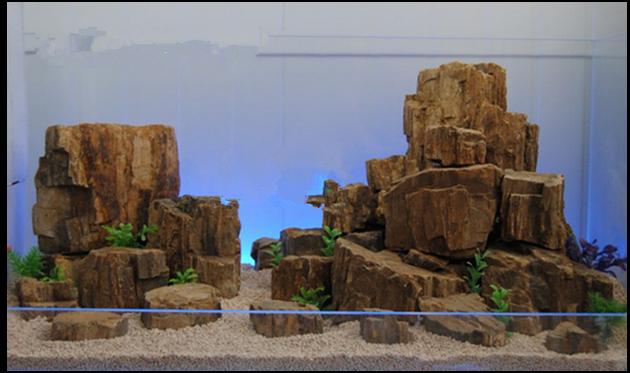 5斤包邮木化石硅化木青龙石松皮石鱼缸造景鱼缸造景石