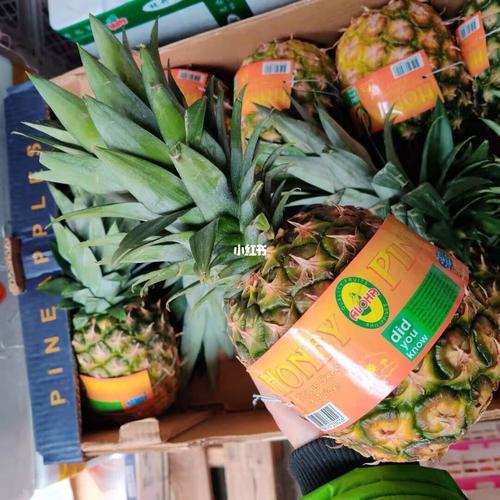 小树菠萝_菠萝_美食_日记_包包_我的美食日记_美食