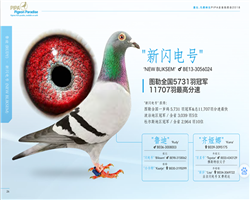 盖比"新闪电"号直子