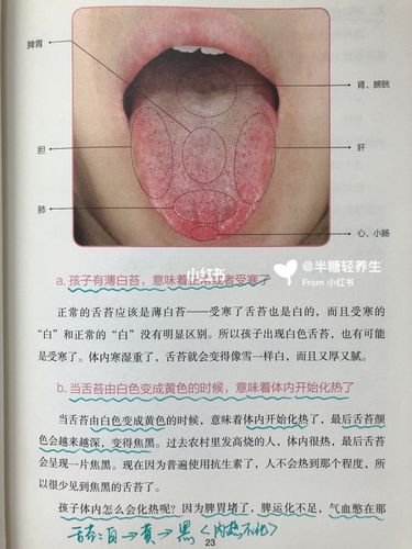 舌苔_淡红_养生_母婴_育儿经验