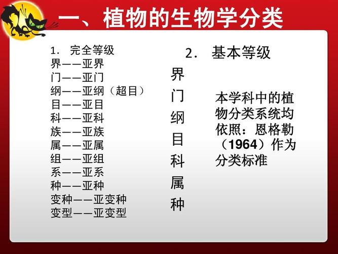 第一节 植物分类常识ppt