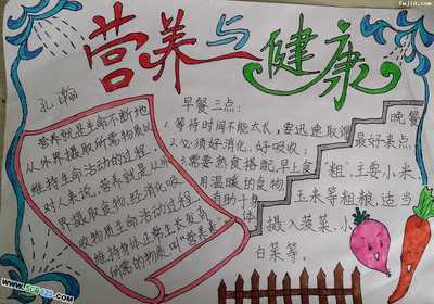 卫生健康营养手抄报 卫生健康手抄报
