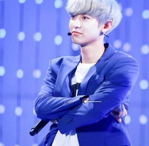 朴灿烈的银色头发也很适合他,真的是有颜值怎么都是好看的,当男明星换