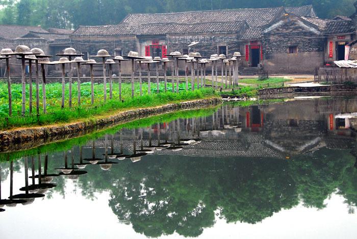 走进苏家围