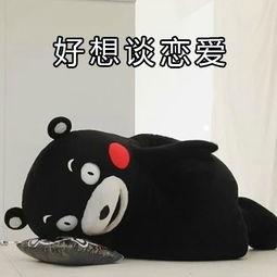 好想谈恋爱表情包 单身狗必备图片表情包 - 【可爱点】