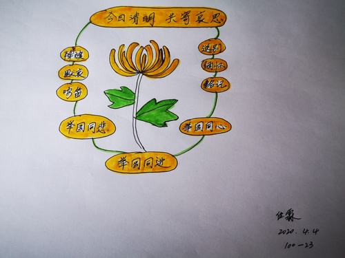 清明节,做了菊花形状的思维导图祭奠英灵!