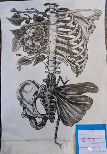 号外| 医学院解剖绘图大赛投票环节开始啦(二)