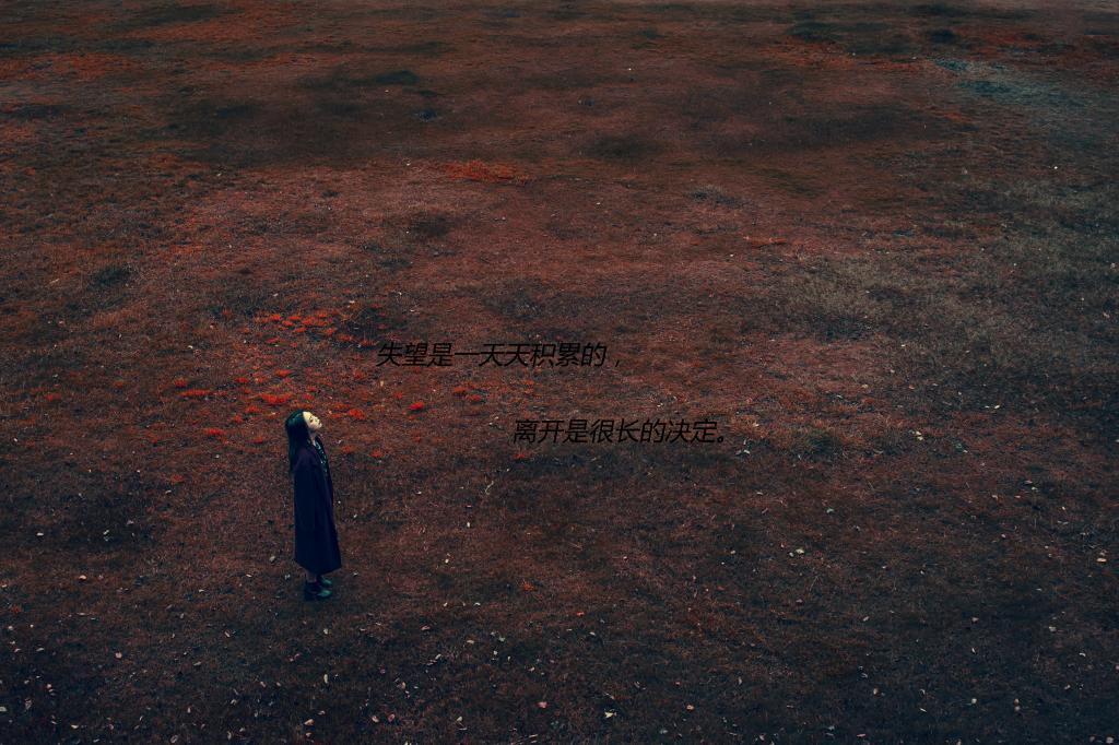 失望放弃的图片带字