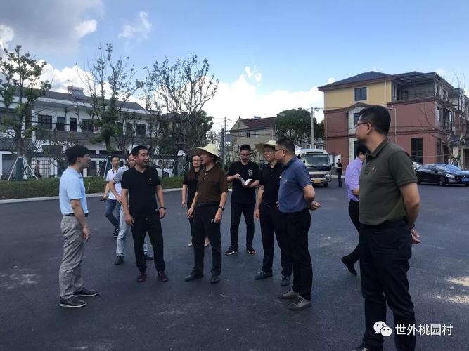 【村务头条】浙江省农办副主任严杰等一行人莅临桃园村调研指导"三治