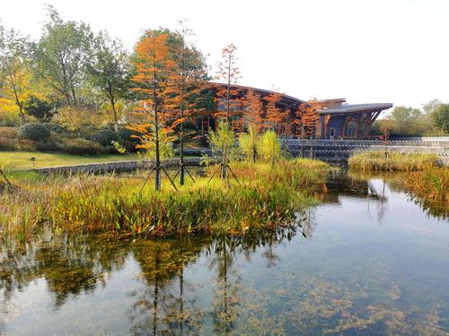 南京河西城市生态公园