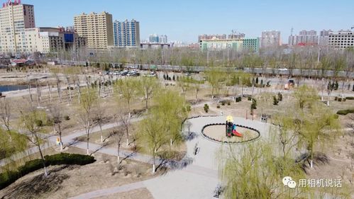 航拍盐山凤凰公园视频和导游解说词