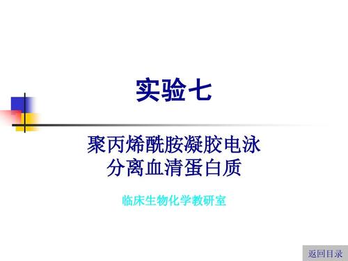 聚丙烯酰胺凝胶电泳分离血清蛋白质ppt