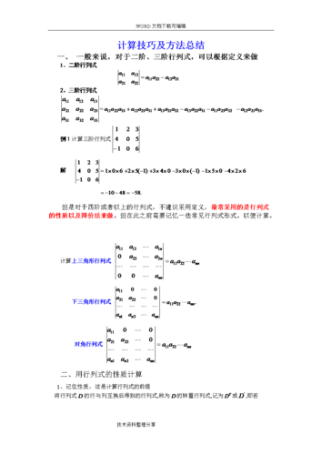 行列式的计算技巧和方法总结doc11页