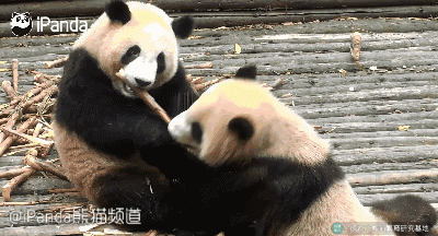 都没我家的好看,不过嘛,图是不会上的,这辈子都不会,因为要藏起来