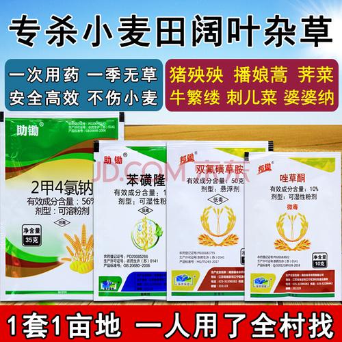 小麦除草剂专用套餐麦田苗后封闭除草剂麦地专用除草剂套装炔草酯 75g