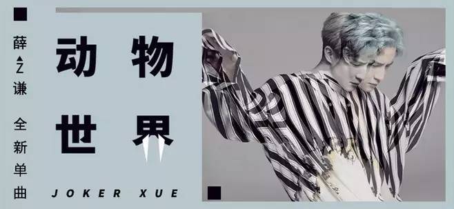 薛之谦:"动物世界"