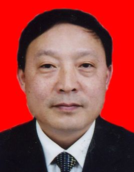 (重庆市秀山自治县县委书记)