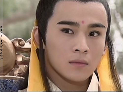 乔振宇《雪花女神龙》【欧阳明日】他外貌清秀俊美,肤色白净,眉心一点