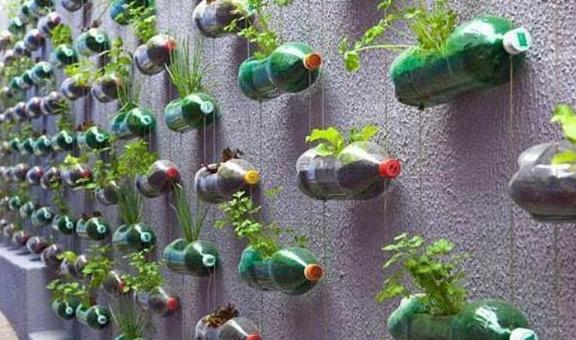 废弃的塑料瓶有啥妙用?花费5分钟,教你把它变成"自吸式"花盆