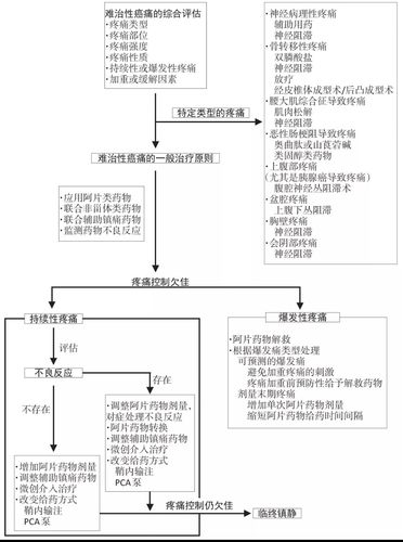 难治性癌痛专家共识(2017年版)——难治性癌痛的评估和治疗原则