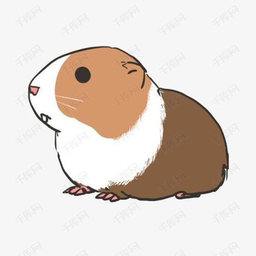 手绘豚鼠的素材免抠豚鼠手绘卡通可爱