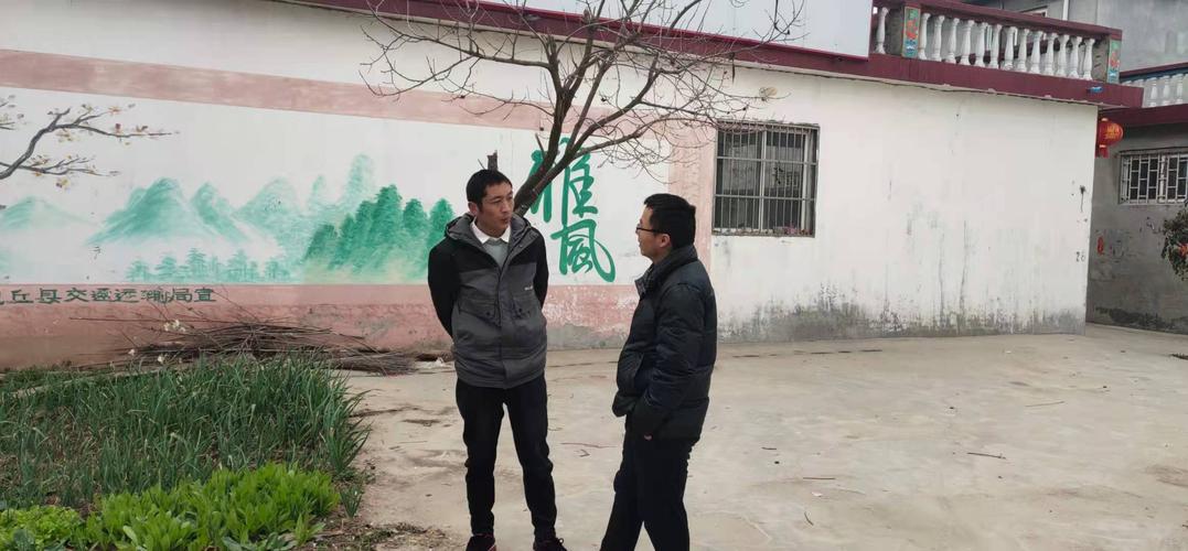冯营乡人大主席李丰到金李庄行政村检查指导乡村振兴工作