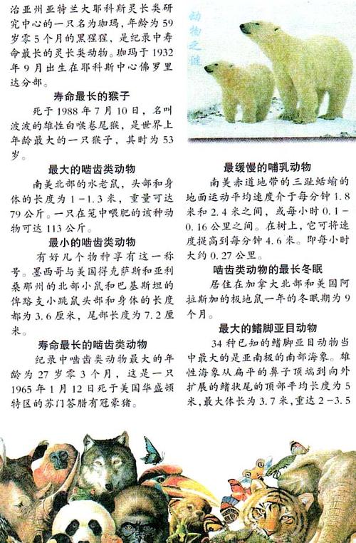 动物之最图片