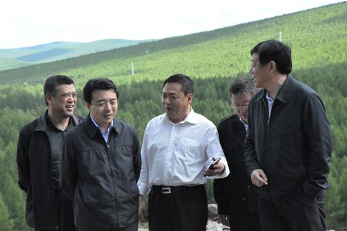 内蒙古大兴安岭森工矿业有限责任公司_森工集团(林管)