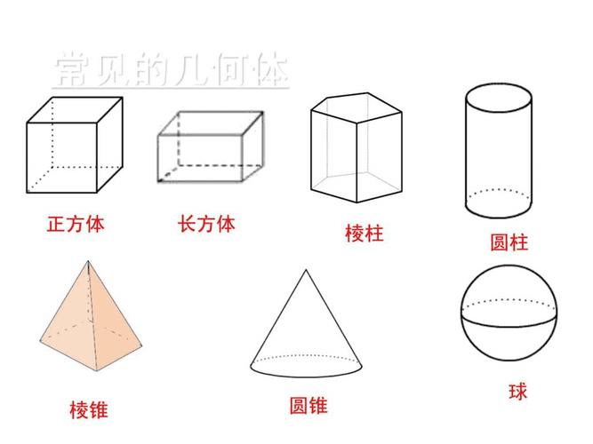 生活中的立体图形(2)