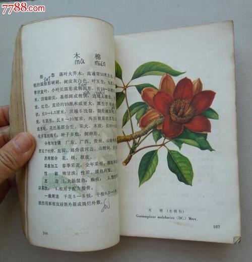常用中草药彩色图谱(第一册)_医书/药书_第5张_7788图书