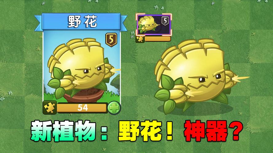 pvz2新植物:野花!设定为紫卡!他厉害吗?