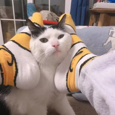 可爱风·"沙雕"情侣头像:只想和你,一起看日出日落