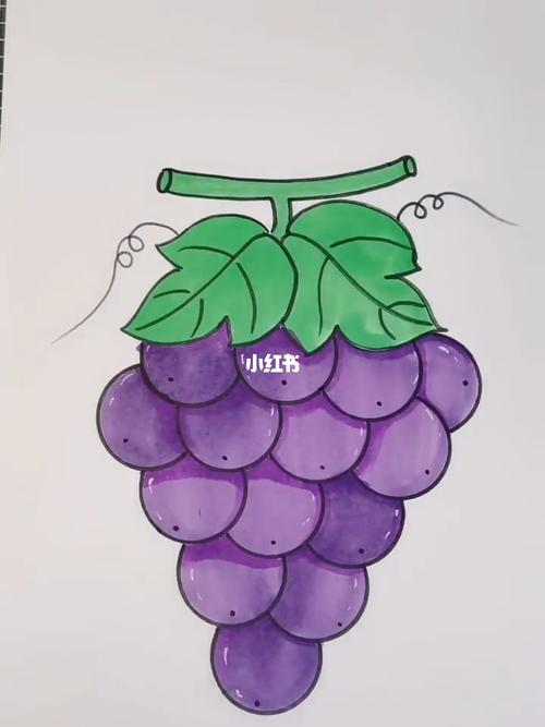 葡萄这样画才甜_简笔画_教程_简笔画教程_文化_绘画