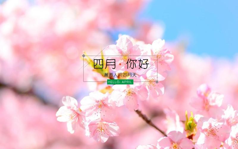 四月你好,邂逅人间四月天,高清壁纸图片,非主流-回车