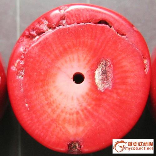 红珊瑚鉴别
