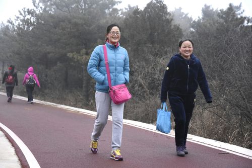 晋普山迎新年徒步赛取得圆满成功
