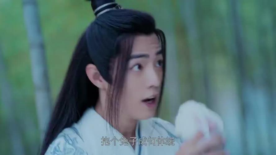 陈情令:魏无羡也太可爱了,抱着个兔子撒娇,还想把兔子抱回家养