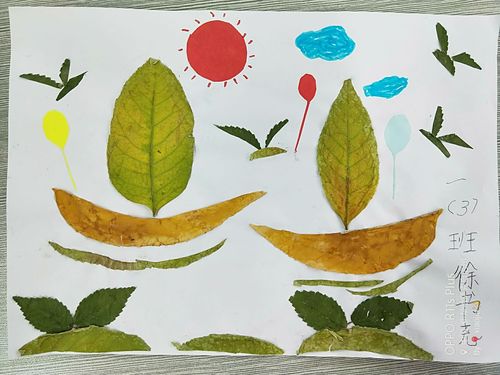 秋天的礼物奎屯市第三小学一(3)班亲子"树叶贴画"展