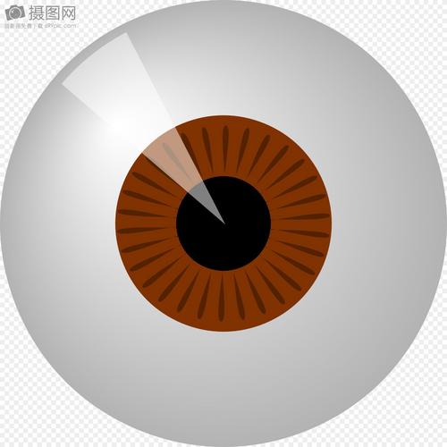 棕色瞳孔眼球