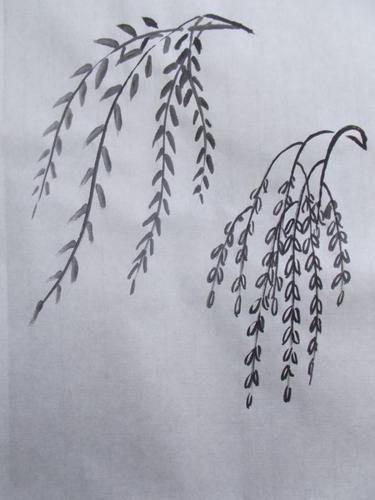 少儿学山水画教程之三柳树的画法