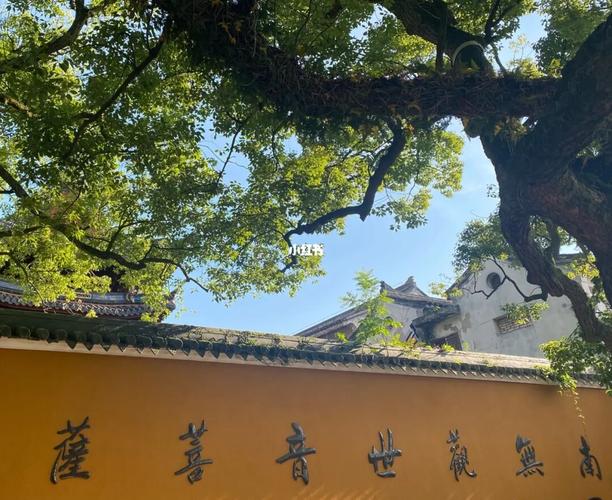 一方净土三柱清香 三分求七分修 但行好事莫问前程 所求皆所愿_普陀山