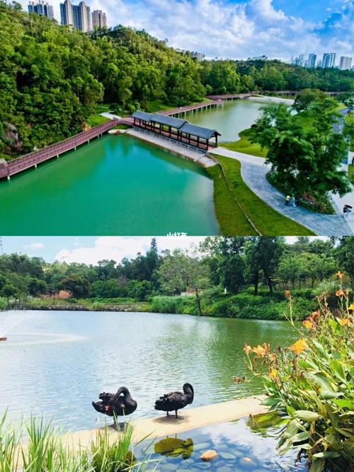 珠海旅行珠海最美公园香山湖公园