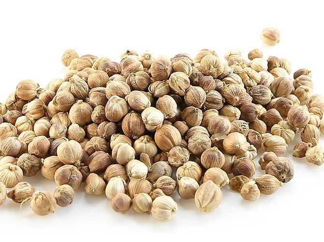 中药材白豆蔻250g豆蔻香料白豆蔻粉白寇白寇仁调料白蔻白扣白叩