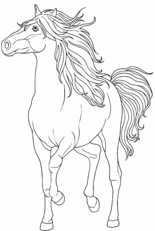 画马白描九幅